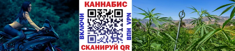 Канабис THC 21%  MEGA ONION  Великий Устюг  купить наркоту 